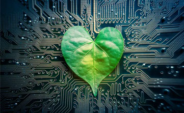 sustainability-at-heart